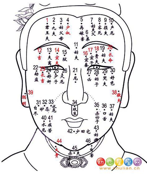 宜夫痣位置|【宜夫痣位置】揭秘宜夫痣位置！3 個痣相位置，準爆你是否天生。